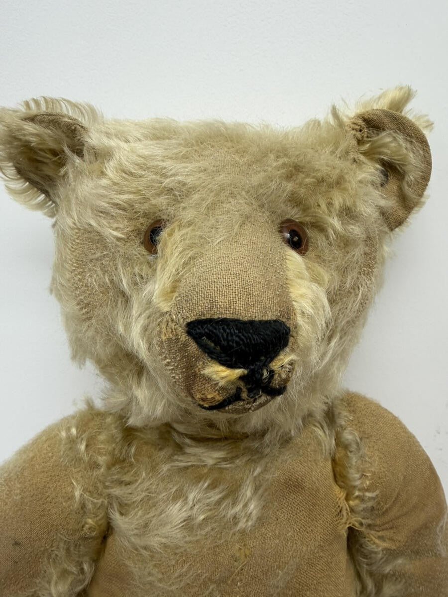 Ours Steiff Antique 20" avec Bouton "F"
