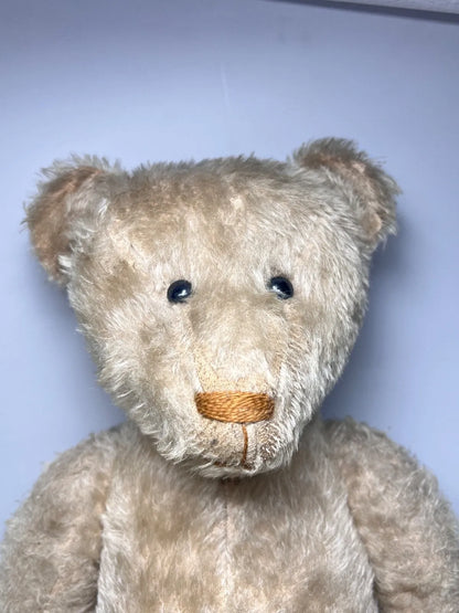 Ours Steiff 1927 Blanc (20")