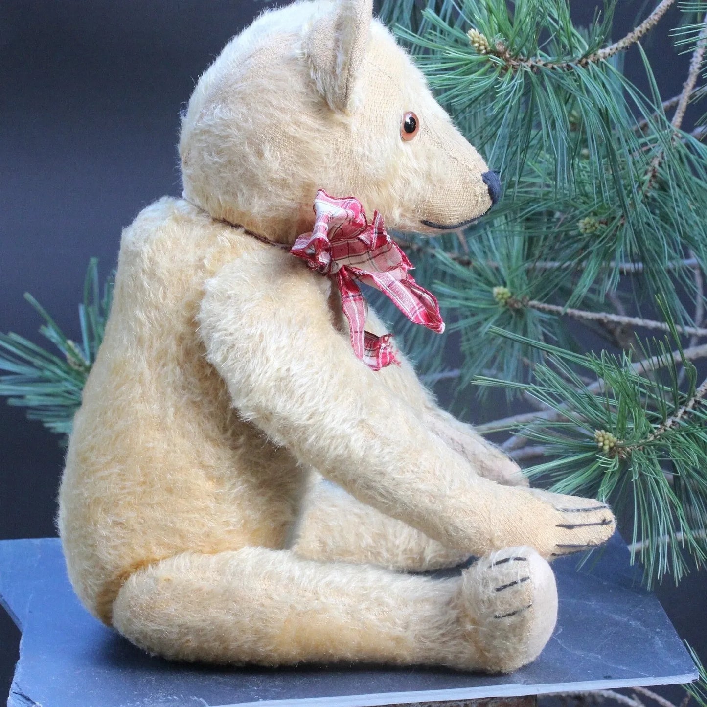 "Oliver" Ours BING Rare Années 1920 (50 cm)