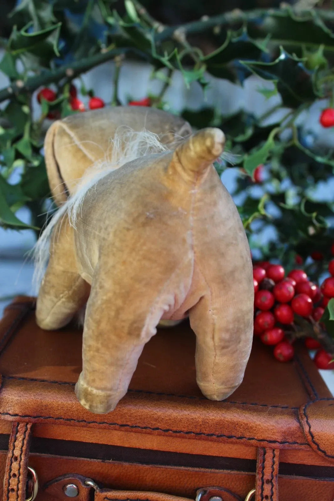 Chien Pip Steiff en Velours c.1927 (6")