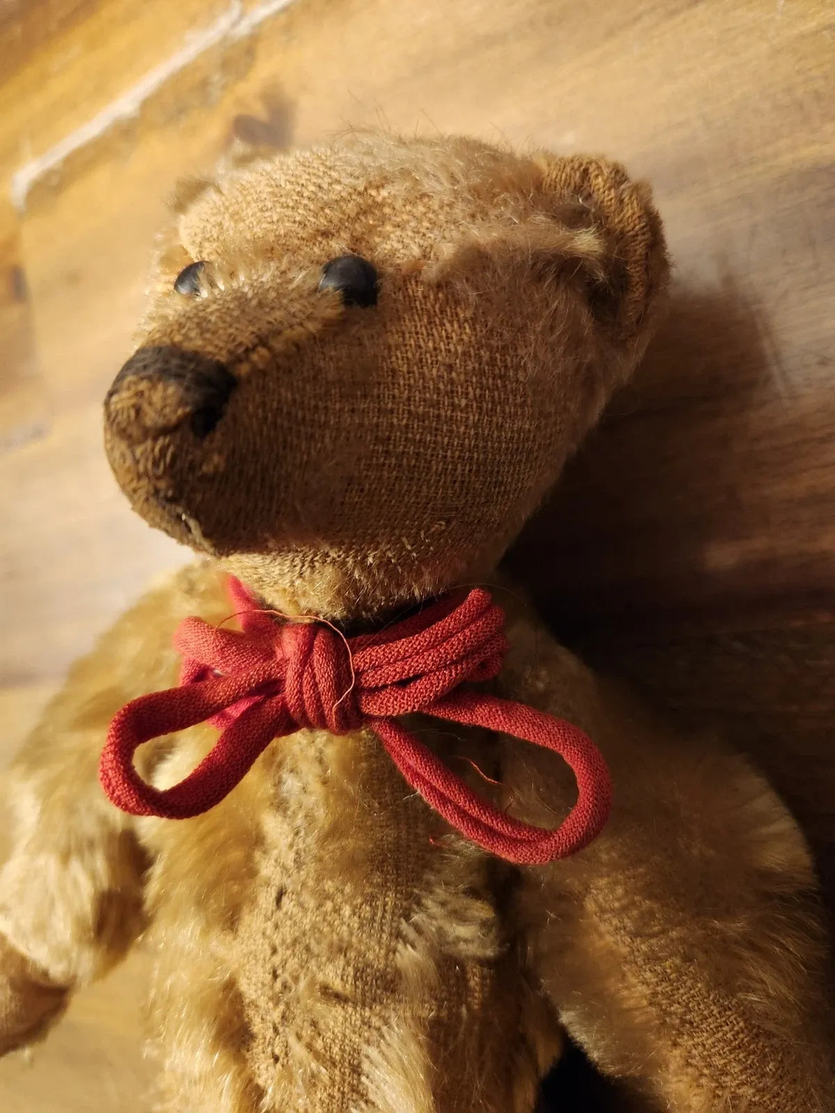 Ours en Peluche Steiff Antique Début 1900s (10")