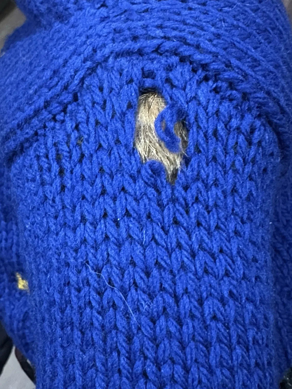 Polo Ralph Lauren Big Pony Bear
