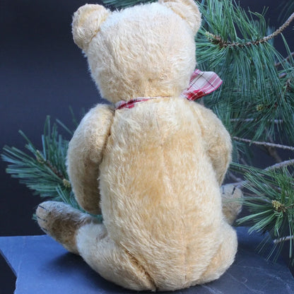 "Oliver" Ours BING Rare Années 1920 (50 cm)