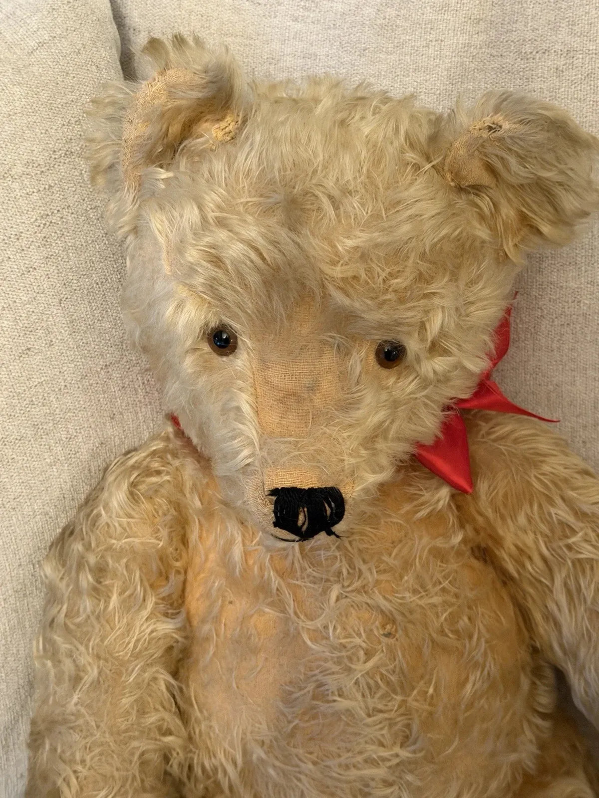 Grand Ours Mohair Doré 25"