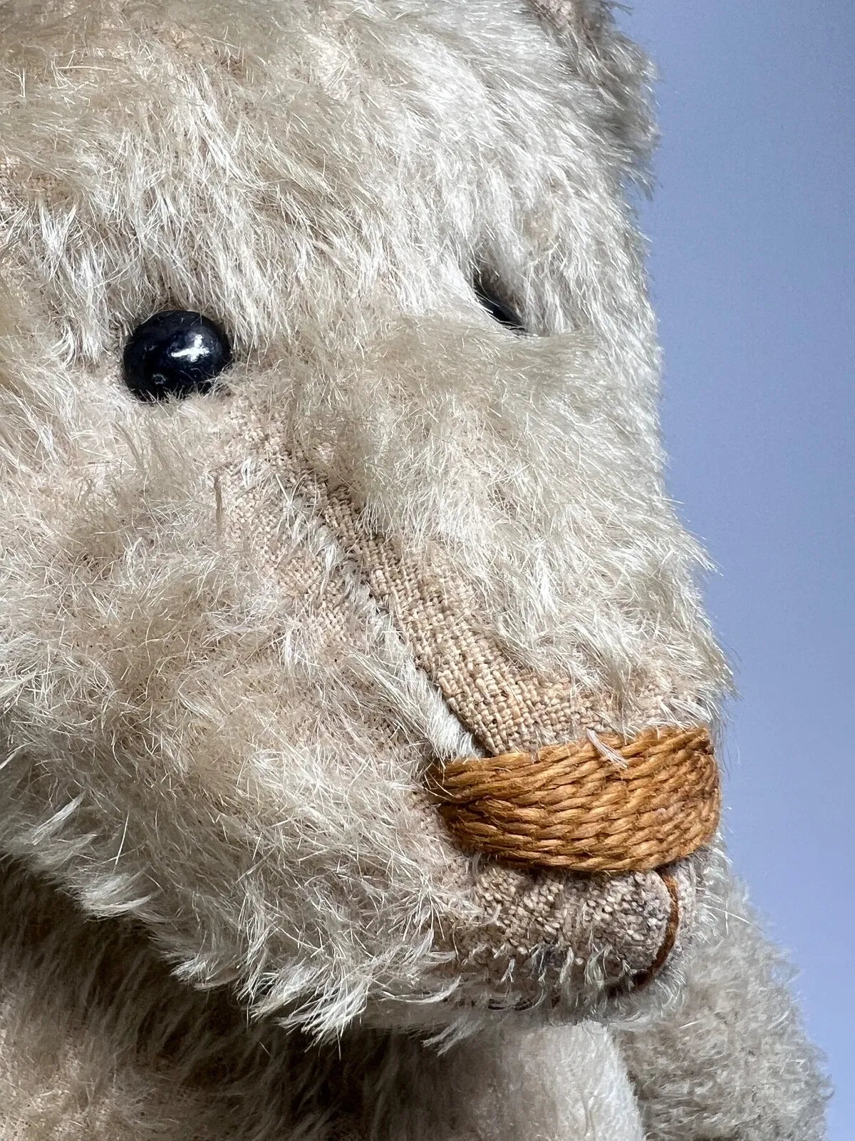 Ours Steiff 1927 Blanc (20")