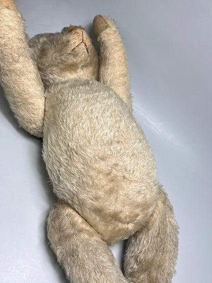 Ours Steiff 1927 Blanc (20")