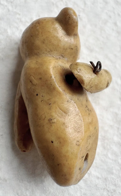 Famille Ours HERTWIG (1900-1910)