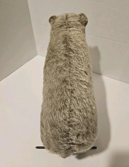 Ours Steiff sur Roues Jouet à Tirer Années 1920