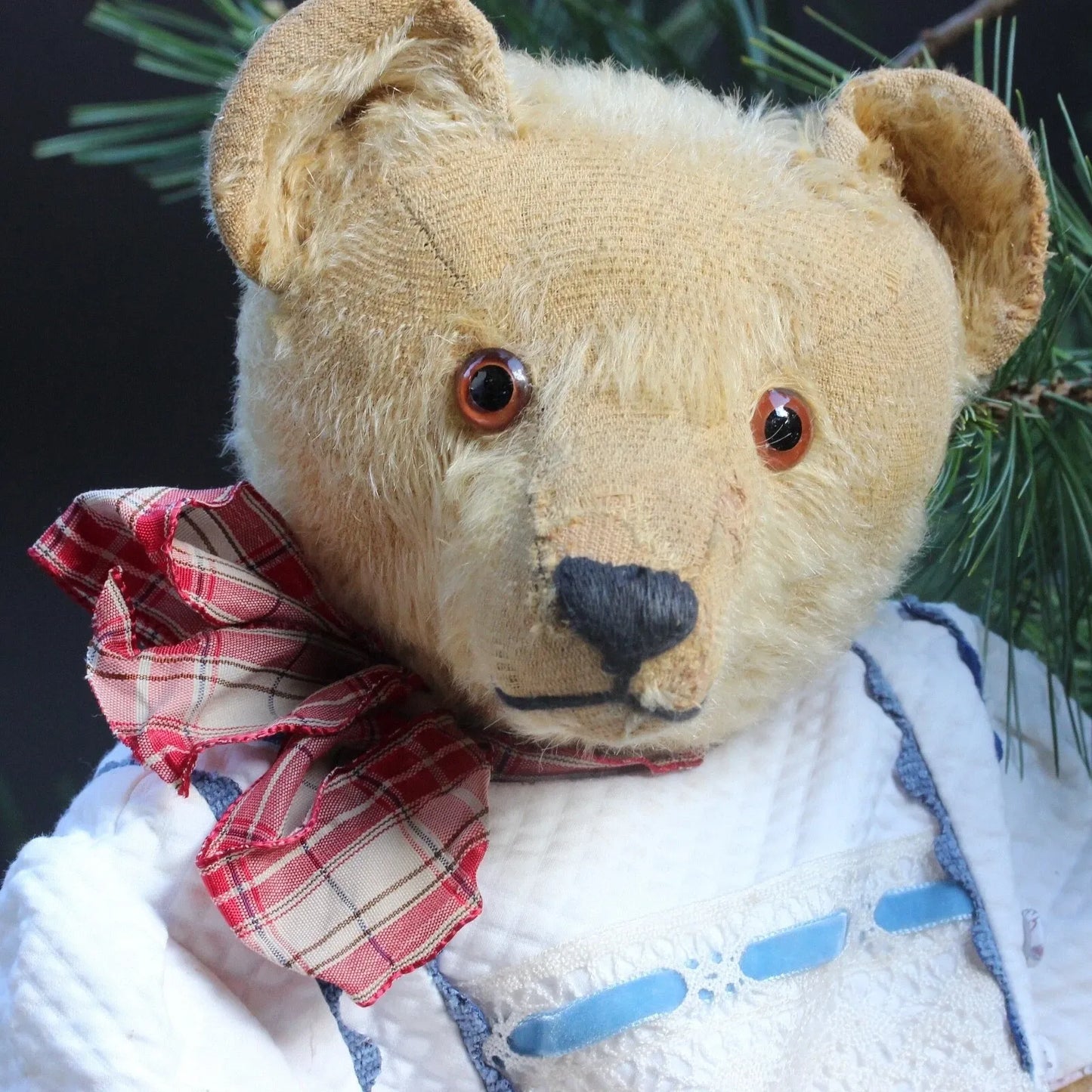 "Oliver" Ours BING Rare Années 1920 (50 cm)