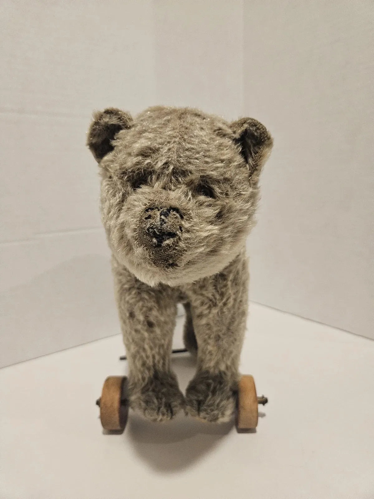Ours Steiff sur Roues Jouet à Tirer Années 1920