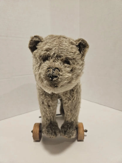 Ours Steiff sur Roues Jouet à Tirer Années 1920