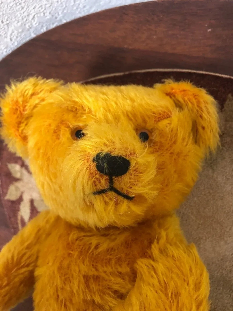 Ours Allemand Antique 1935 Mohair Doré (14")
