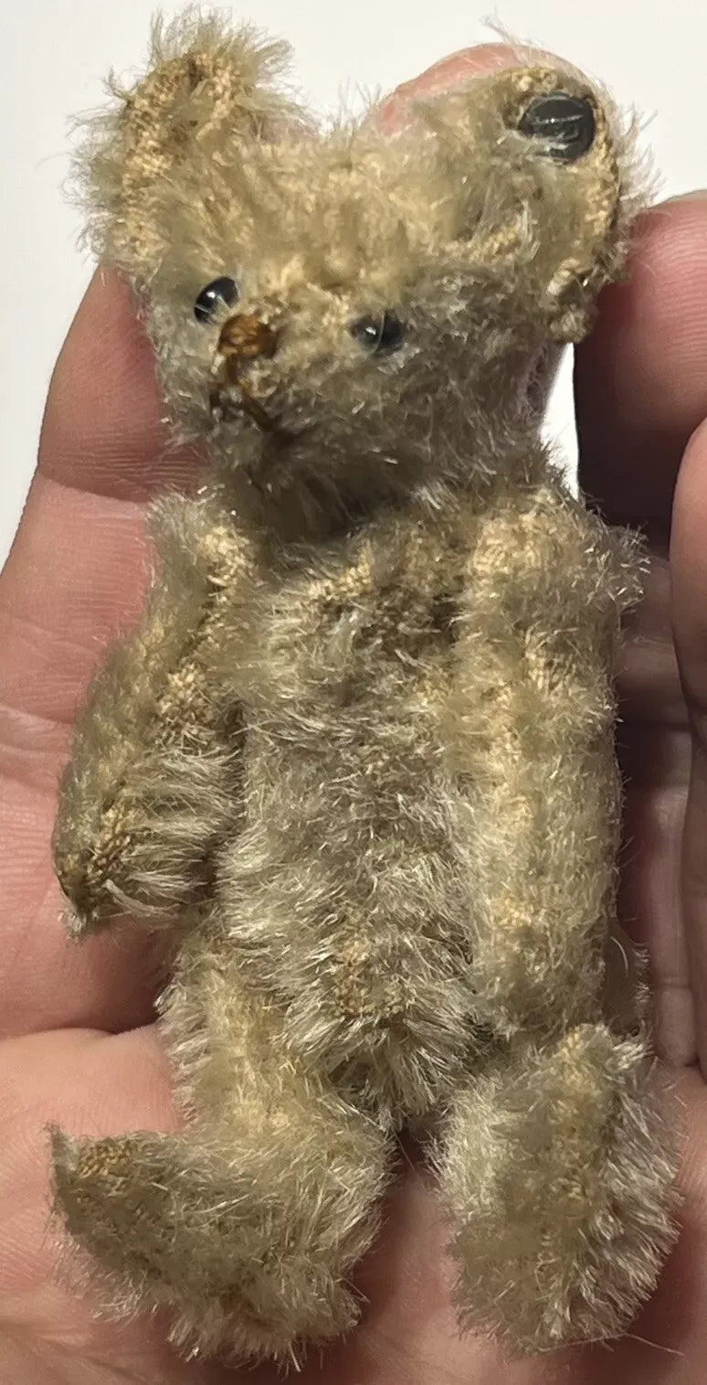 Ours Miniature Steiff Années 1900 (3.5")