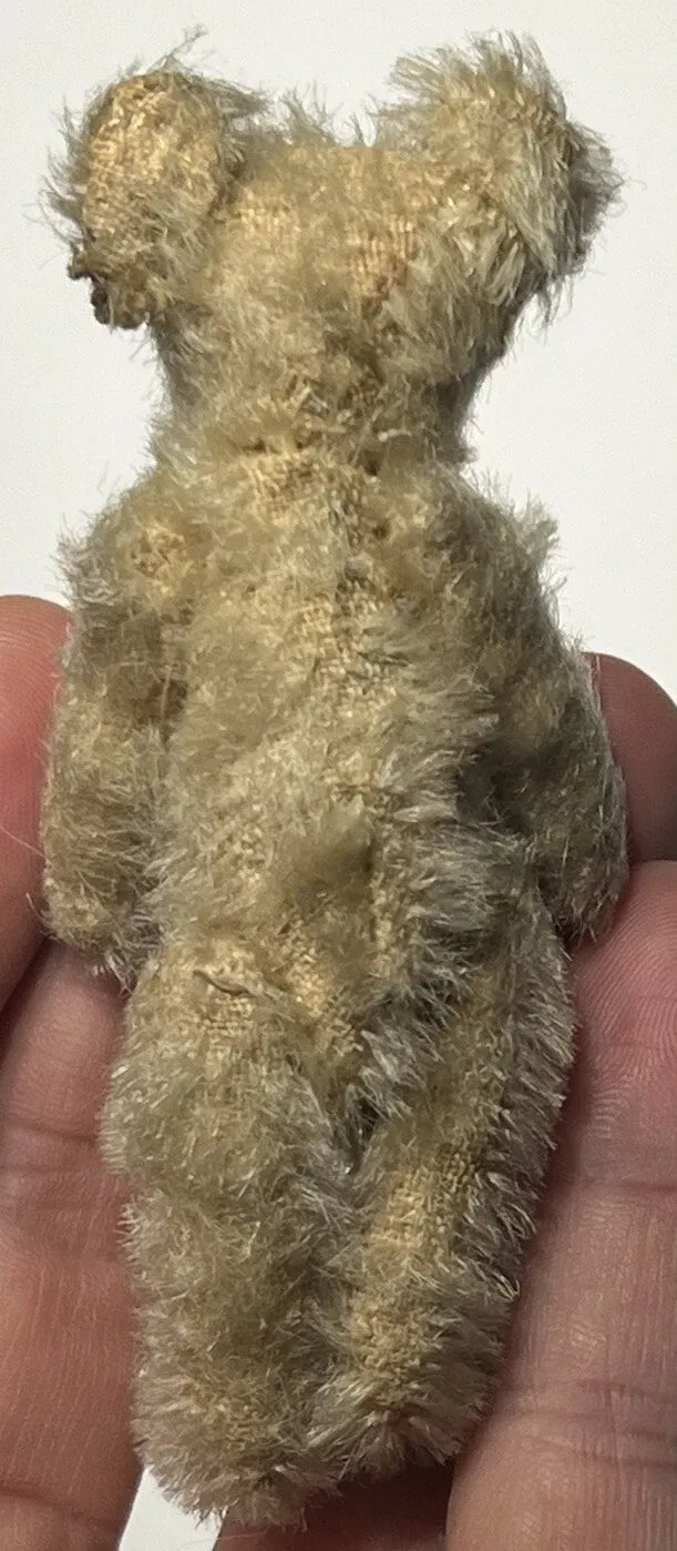 Ours Miniature Steiff Années 1900 (3.5")