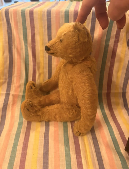 Ours Steiff Mohair Blond 30 cm Années 1950-60