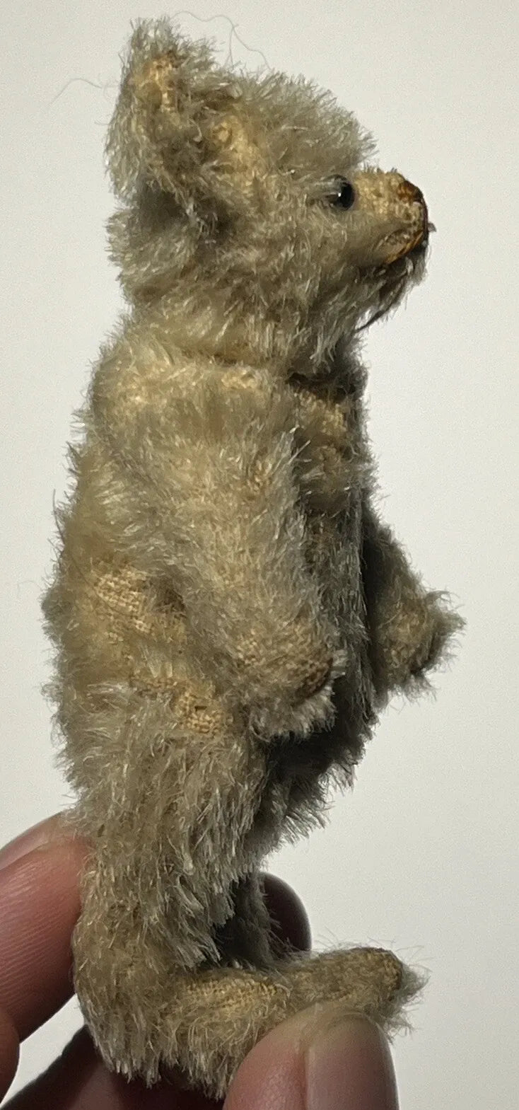 Ours Miniature Steiff Années 1900 (3.5")