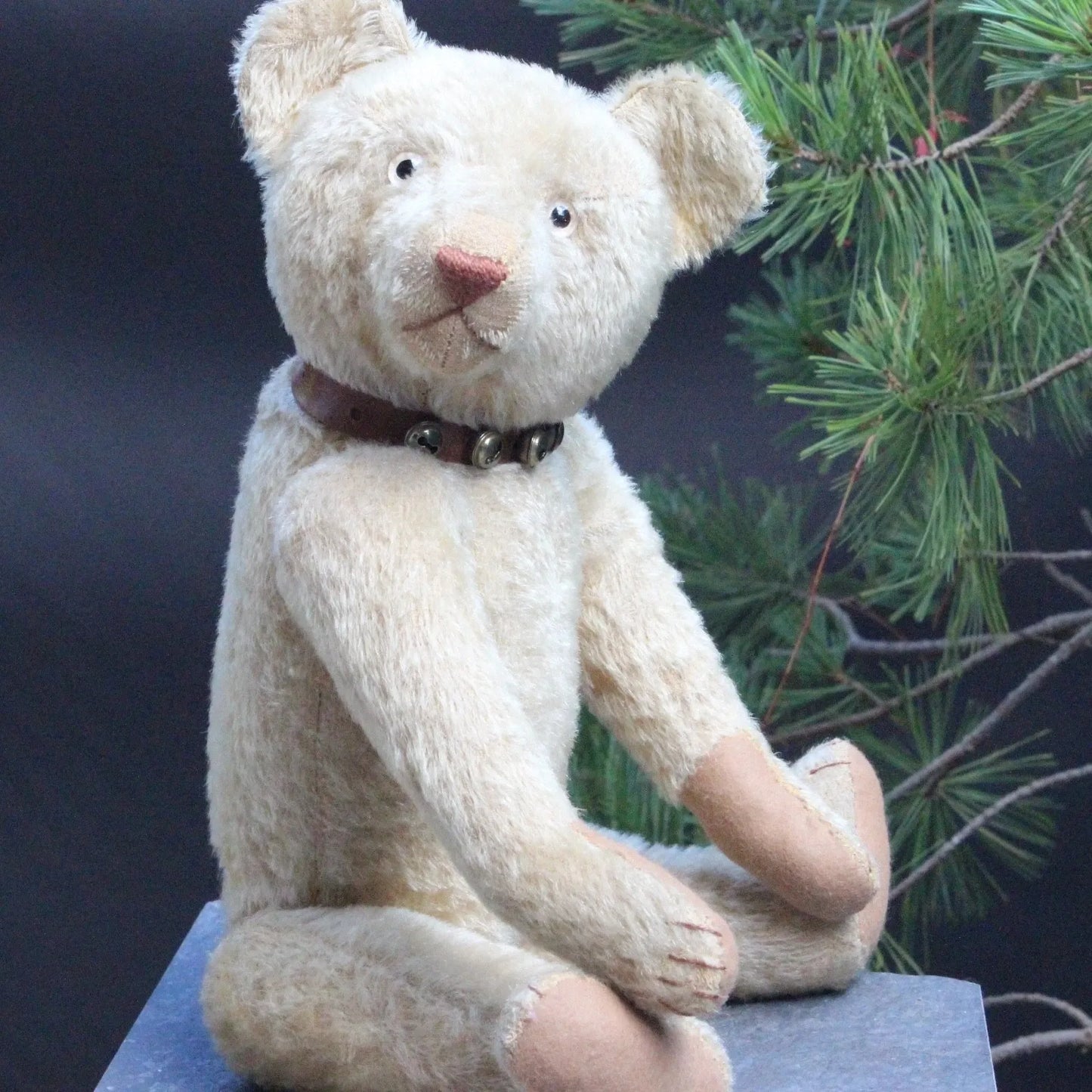 "Favorite Teddy" Ours EDUCA CRAMER Années 1920