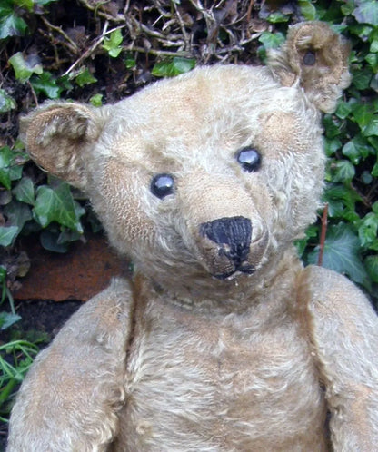 Ours Steiff Antique c.1910 (18")