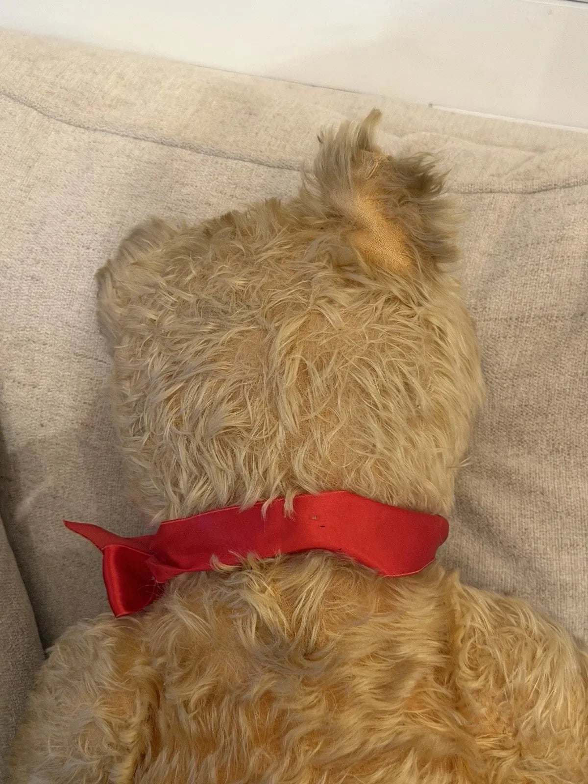 Grand Ours Mohair Doré 25"