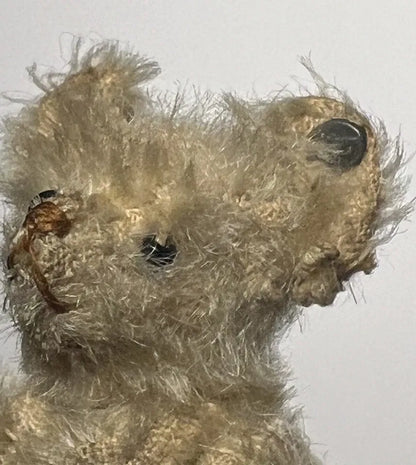 Ours Miniature Steiff Années 1900 (3.5")