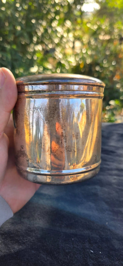 Pot à Thé Argenterie Greggio Argent 800 Italie