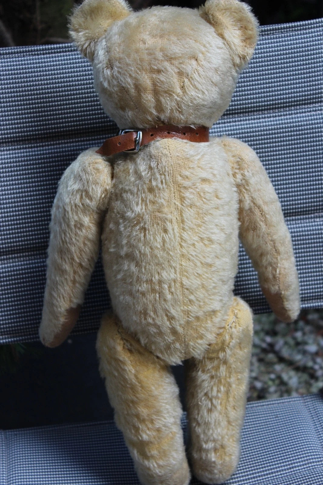 "Favorite Teddy" Ours EDUCA CRAMER Années 1920