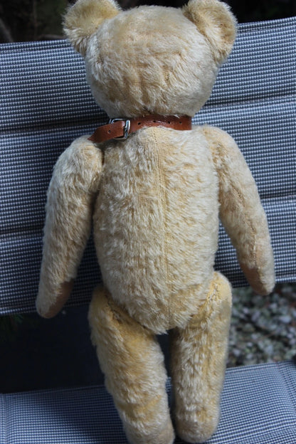 "Favorite Teddy" Ours EDUCA CRAMER Années 1920