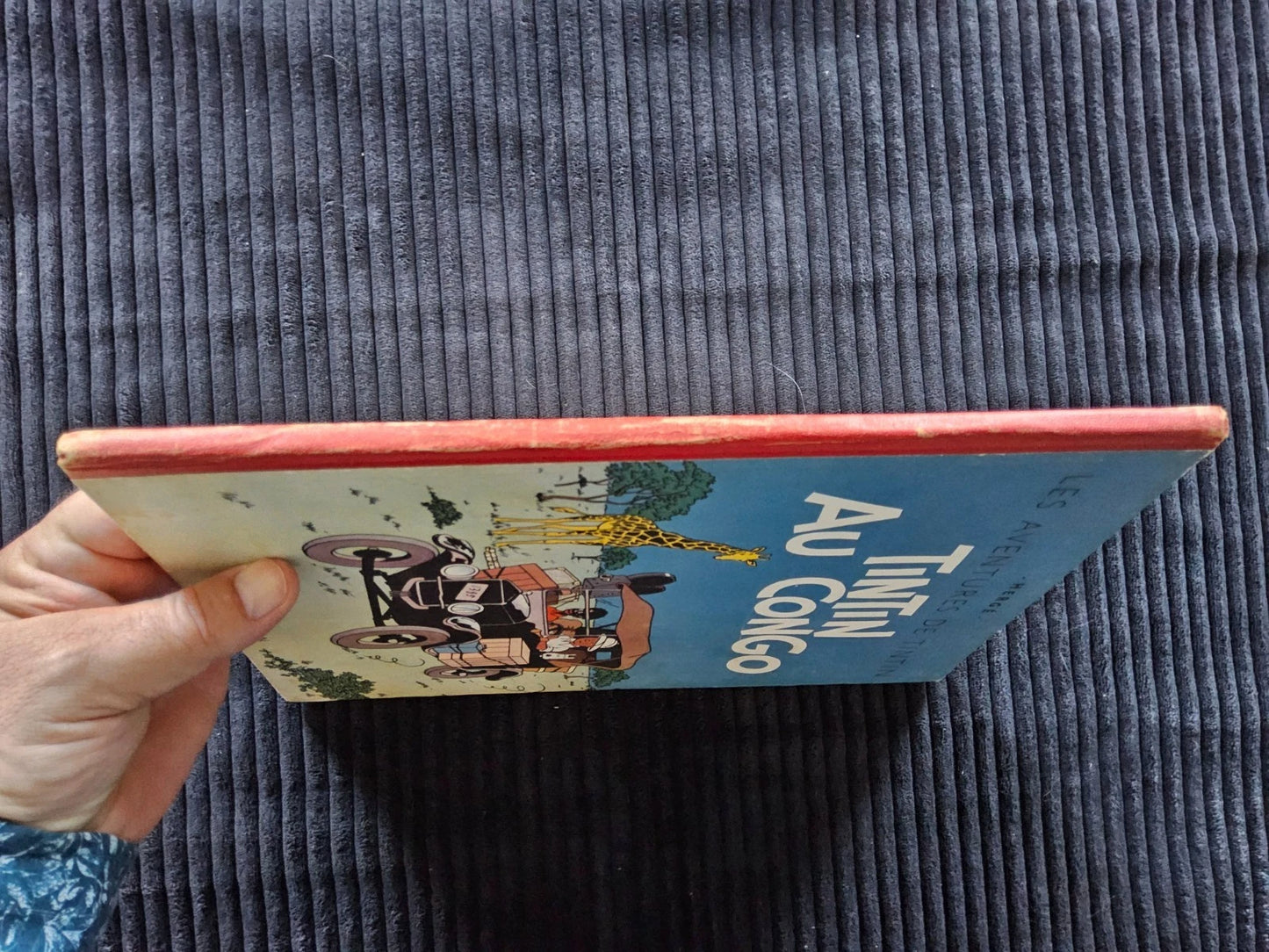 Tintin – Au Congo – B1 – Originale Première Édition Couleur – 1946