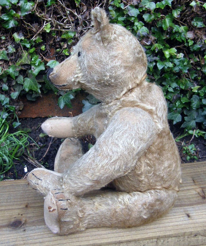 Ours Steiff Antique c.1910 (18")