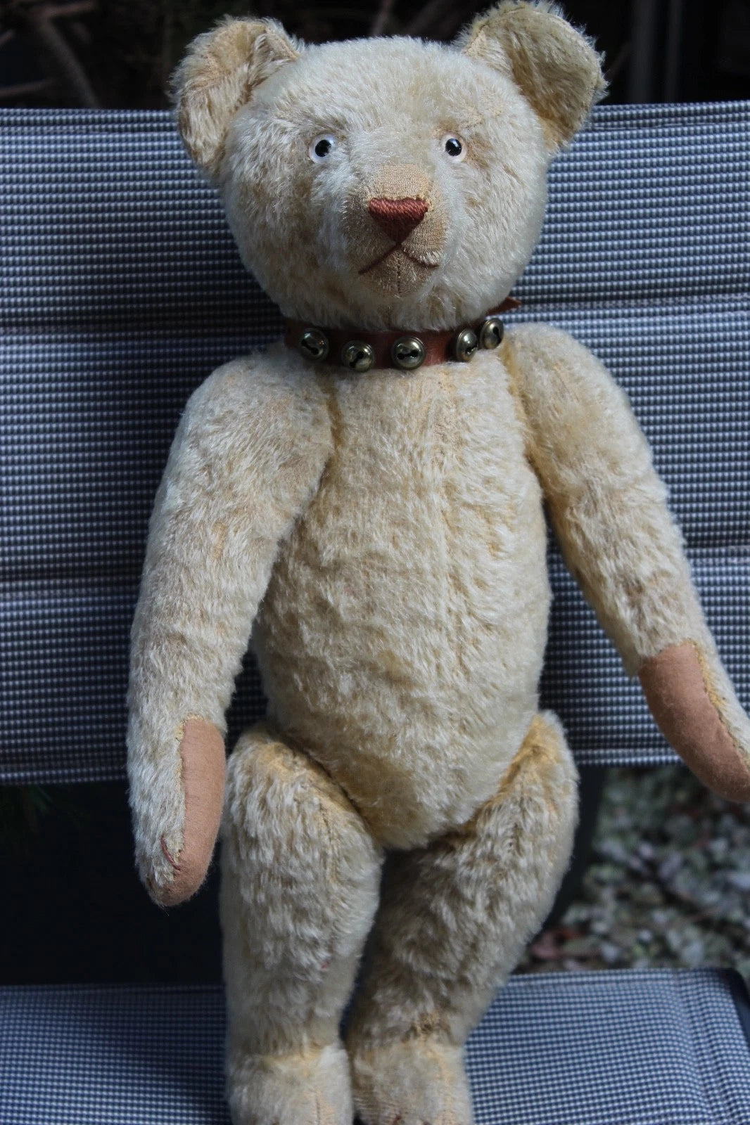 "Favorite Teddy" Ours EDUCA CRAMER Années 1920