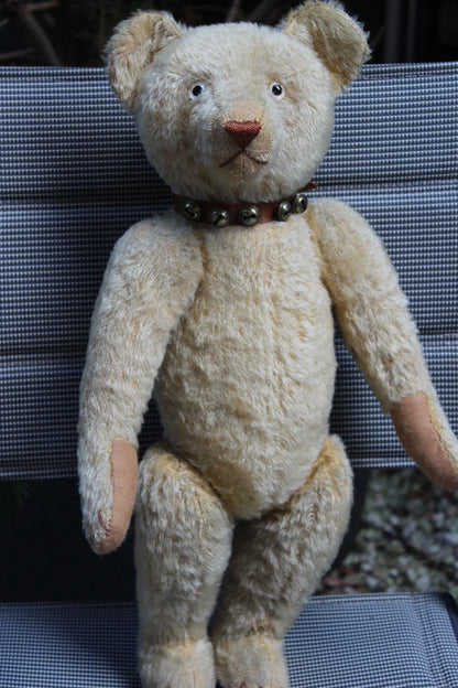 "Favorite Teddy" Ours EDUCA CRAMER Années 1920